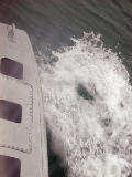 DSCN2045_edited-1