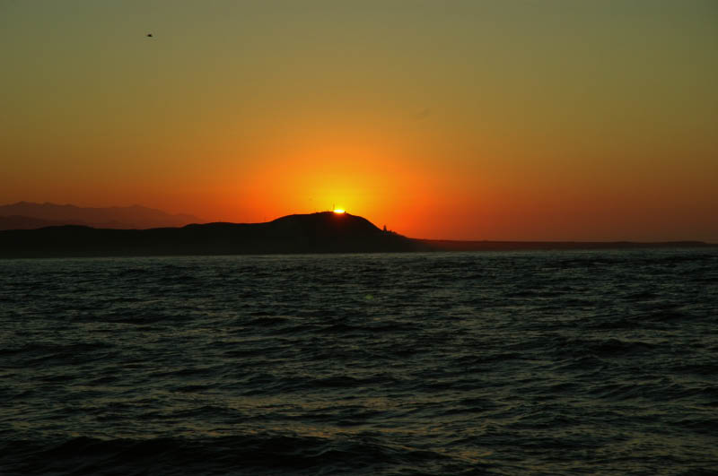 DSC_0006