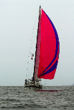 BBR07 146