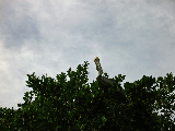 IMG_0126_edited-1