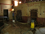 IMG_0353_edited-1