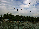 IMG_0208_edited-1