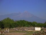 IMG_0251_edited-1