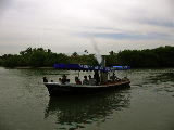 IMG_0437_edited-1