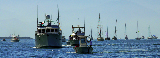 _DSC7685a