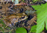 DSCN2019_edited-1