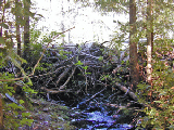 DSCN2025_edited-1