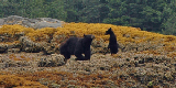 DSC_0039_edited-1