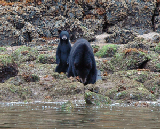 DSC_0046_edited-2