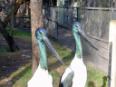 dscn0953_edited