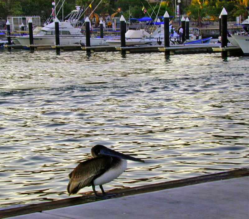 DSCN1598_edited