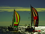 DSC01393_edited