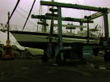 DSCN1487_edited