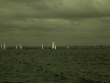 DSCN1528