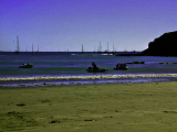 DSCN1538_edited