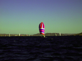 DSCN1557