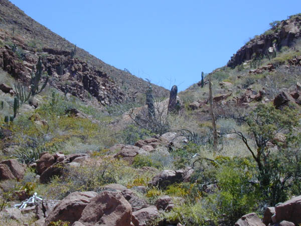 DSCN0043