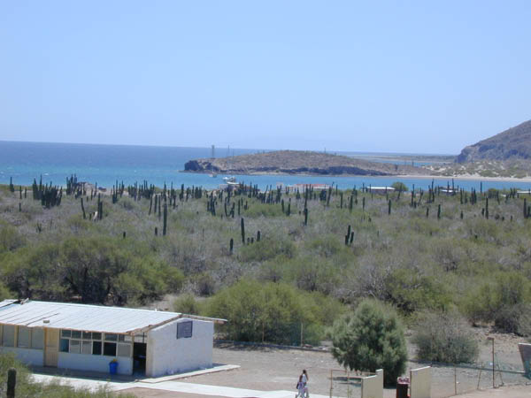 DSCN1860