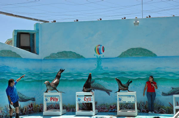 DSC_0026_edited-1