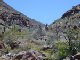 DSCN0043