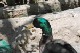 DSC_0012_edited-1