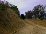 DSCN0013_edited-1