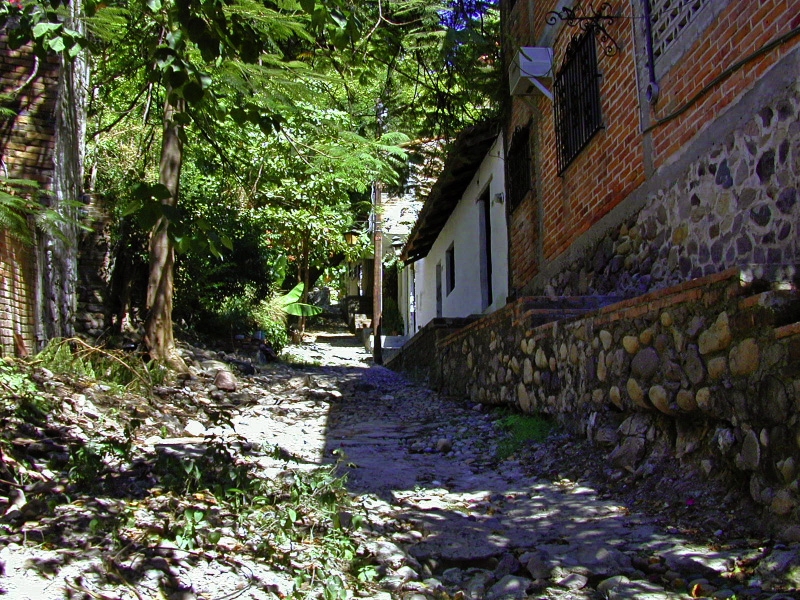 DSCN1639_edited