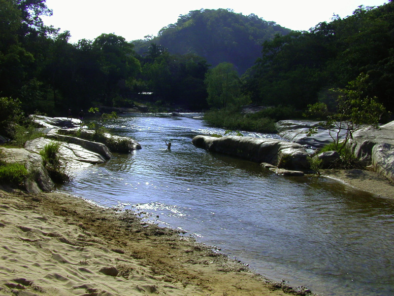 DSCN1661