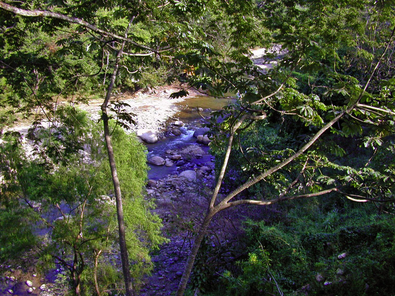 DSCN1711_edited