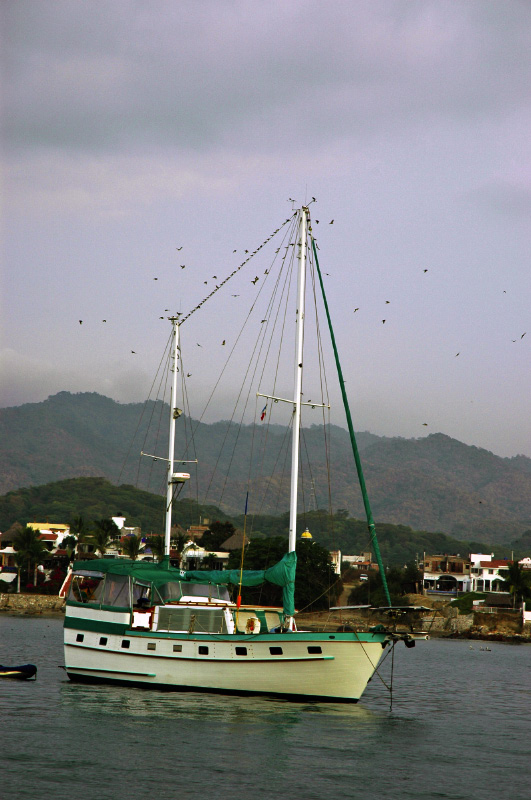 DSC_0226_edited