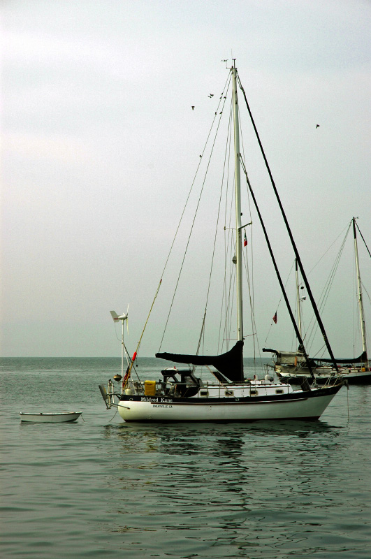 DSC_0227_edited