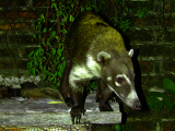 DSCN1614_edited