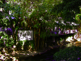 DSCN1625_edited