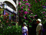 DSCN1637_edited