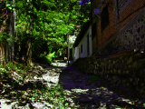 DSCN1639_edited