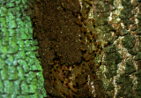 DSC_0138_edited