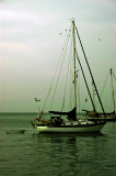 DSC_0227_edited
