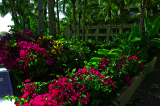 DSC_0261_edited