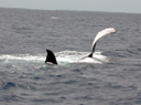 DSCN1271_edited