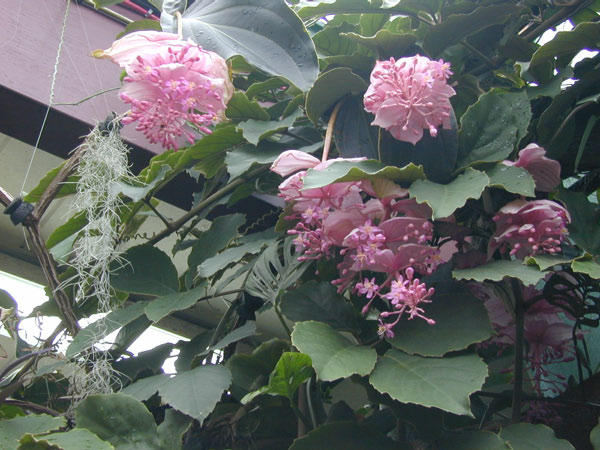 DSCN0078