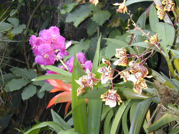 DSCN0079