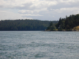 DSCN0019
