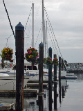 DSCN0127_edited-1