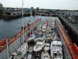 DSC00747