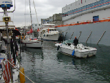 DSCN1917