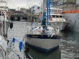 DSCN1919