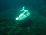 DSCN1937